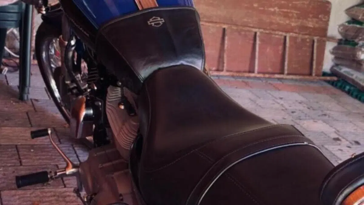 Harley-Davidson 883 Custom (2008 - 12) - XL 883C  (3)