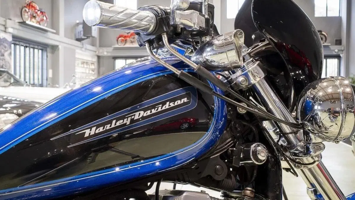 Harley-Davidson 883 Custom (2008 - 12) - XL 883C  (4)