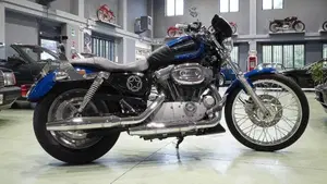 Harley-Davidson 883 Custom (2008 - 12) - XL 883C  (5)