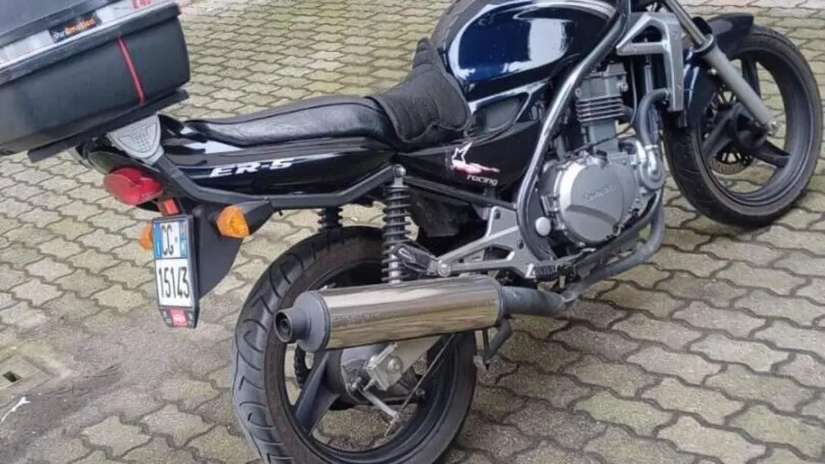 Kawasaki ER-5 500 (2001 - 06)  (2)