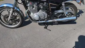Suzuki   (8)