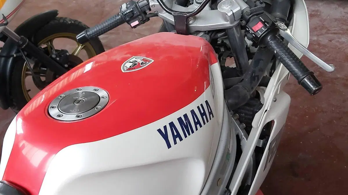 Yamaha FZR 600 (1989 - 90)  (4)