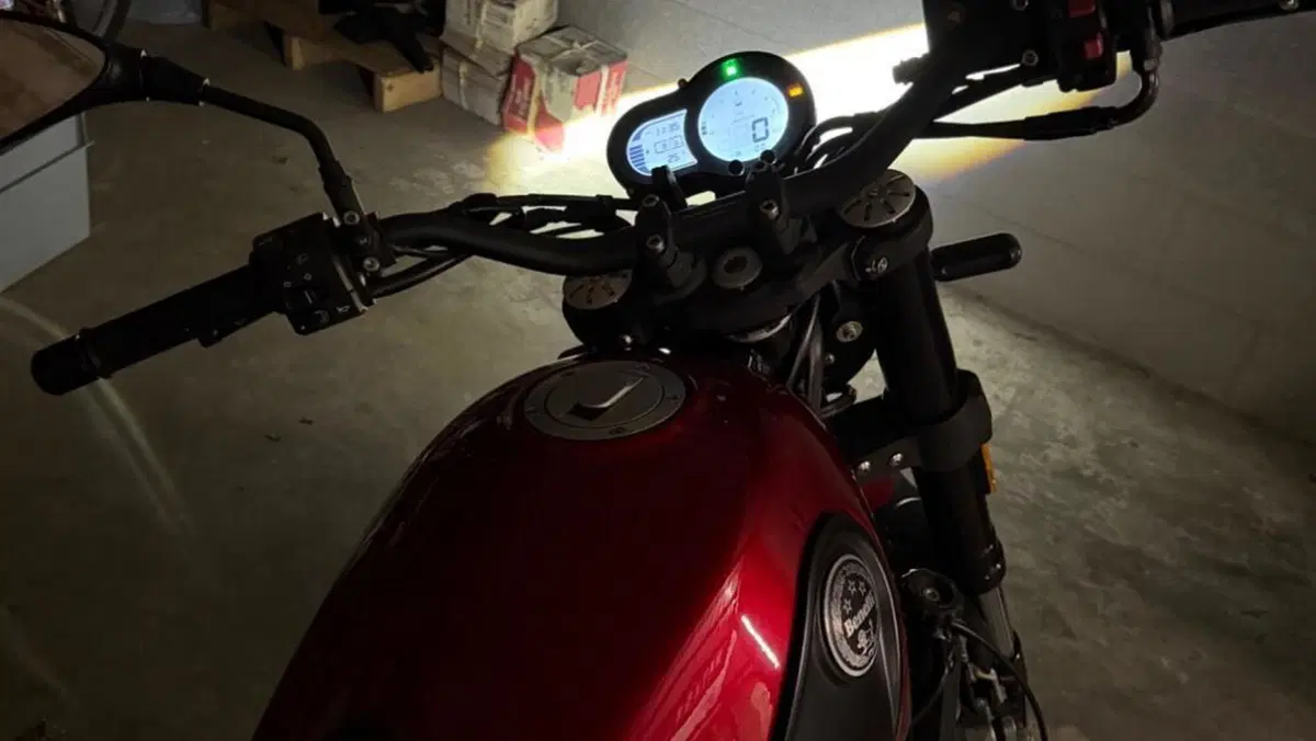 Benelli Leoncino 500 Trail ABS (2017 - 20)  (4)