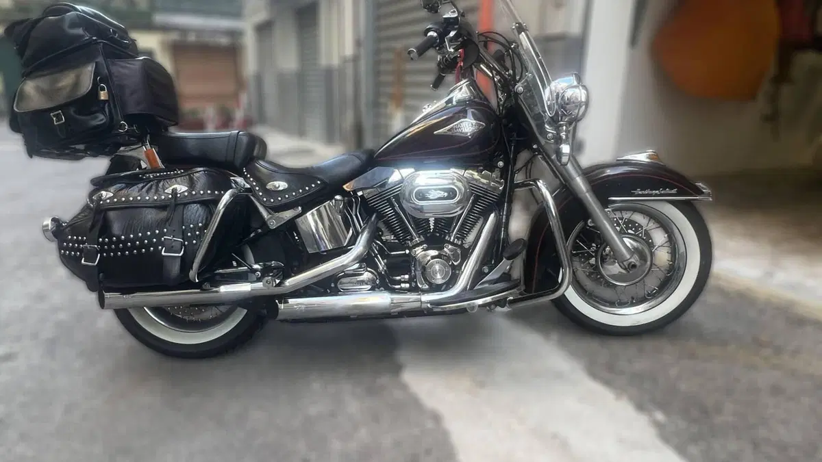 Harley-Davidson 1584 Heritage Classic (2008 - 10) - FLSTC  (2)