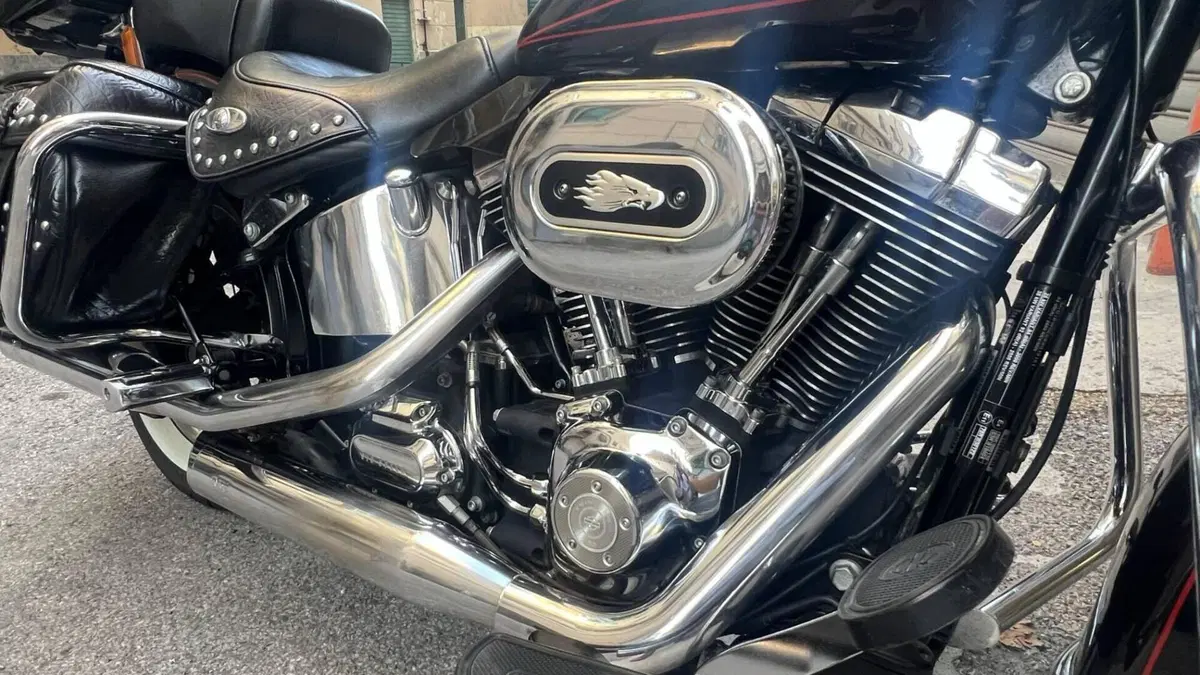 Harley-Davidson 1584 Heritage Classic (2008 - 10) - FLSTC  (3)