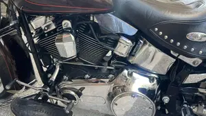 Harley-Davidson 1584 Heritage Classic (2008 - 10) - FLSTC  (4)