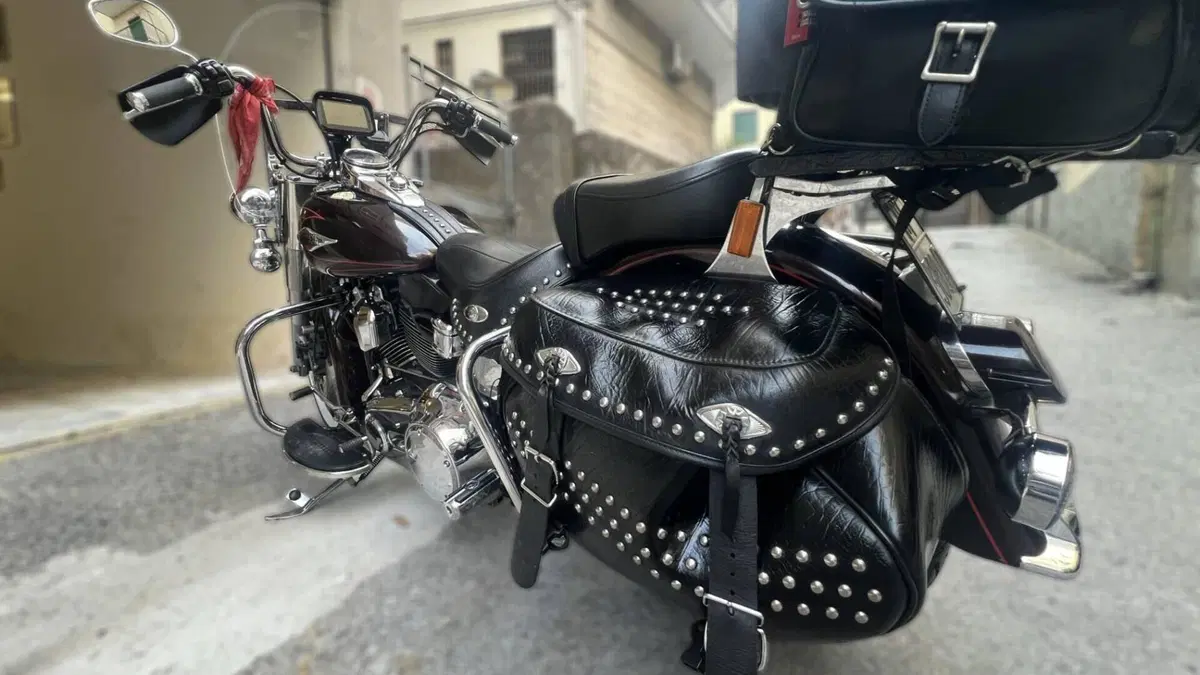 Harley-Davidson 1584 Heritage Classic (2008 - 10) - FLSTC  (5)