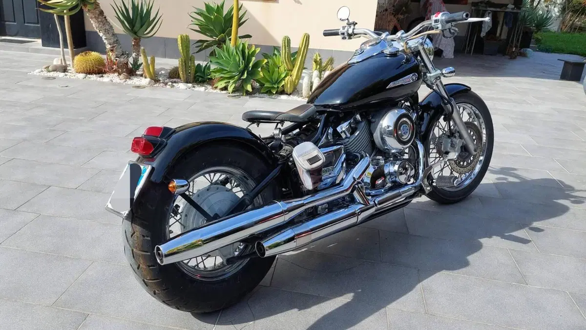 Yamaha XVS 650 Drag Star (1997 - 05)  (3)