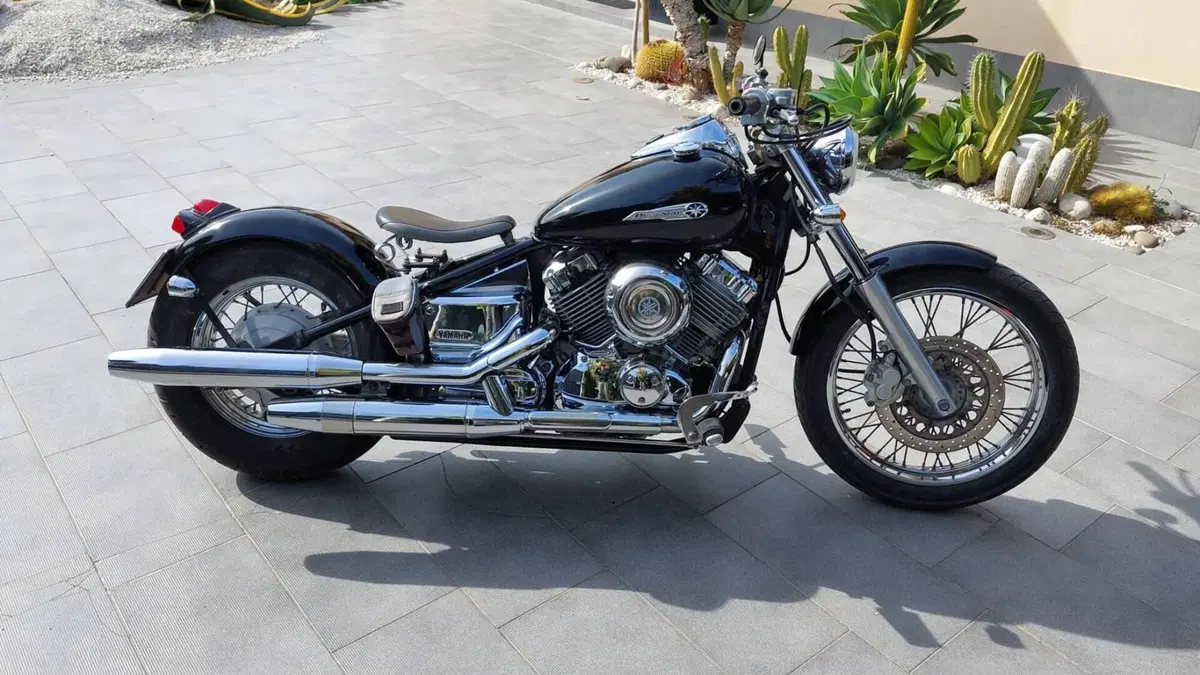 Yamaha XVS 650 Drag Star (1997 - 05)  (4)