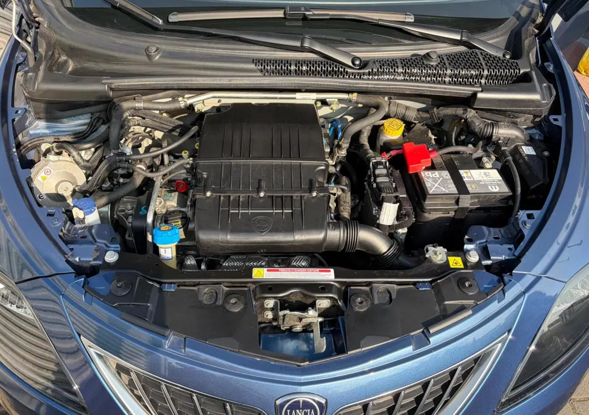 Lancia Ypsilon 1.2 69 CV 5 porte GPL Gold Plus (3)
