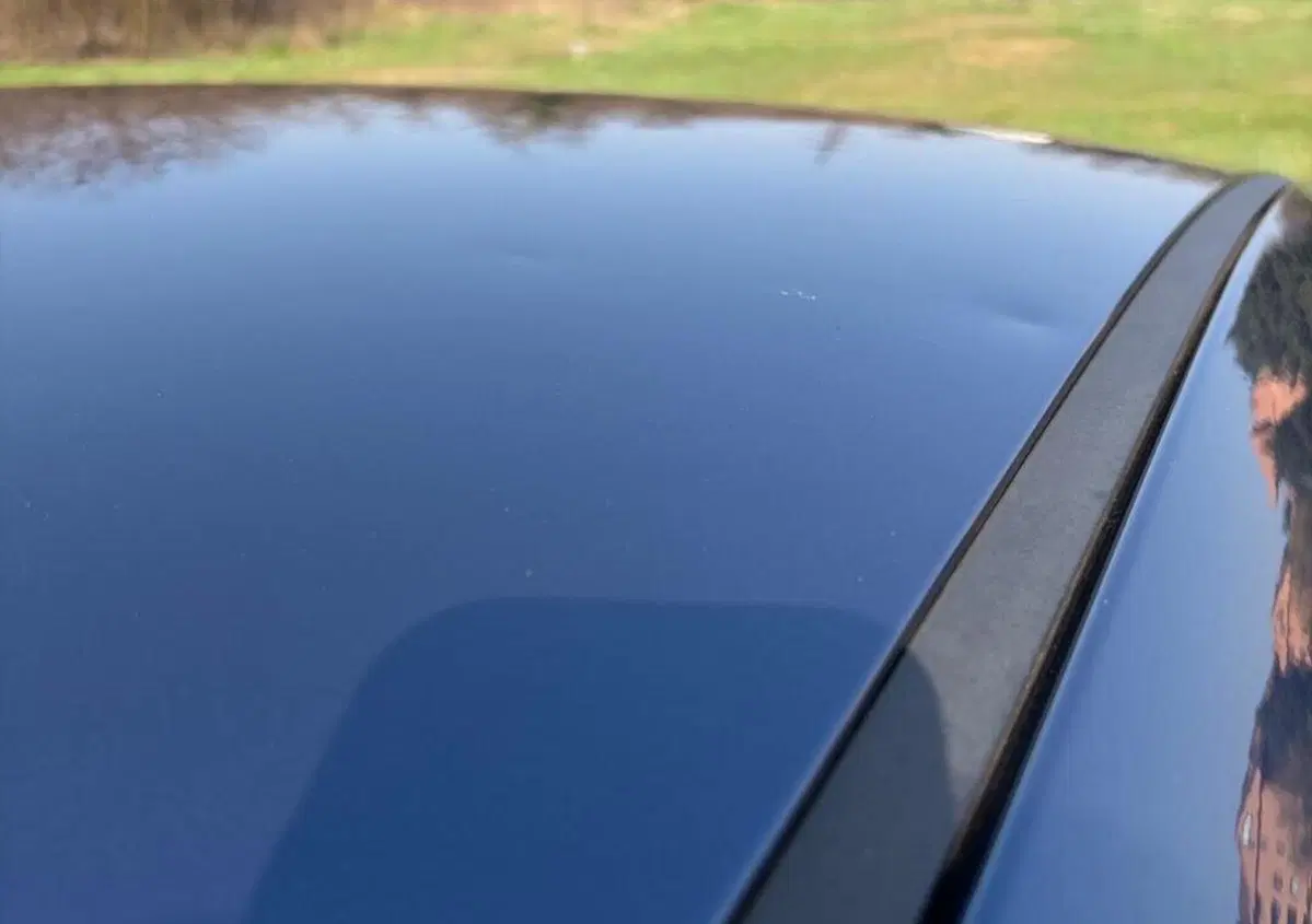Lancia Ypsilon 1.2 69 CV 5 porte GPL Gold Plus (5)