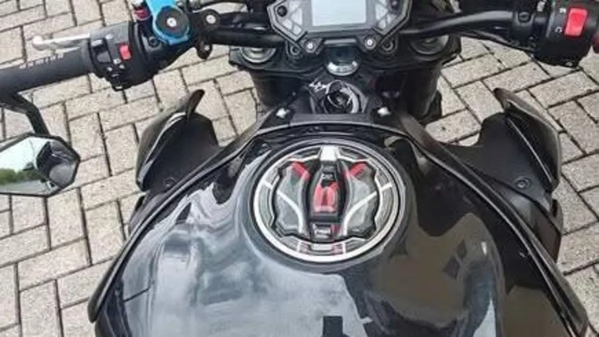 Kawasaki Z 900 Performance (2019)  (4)
