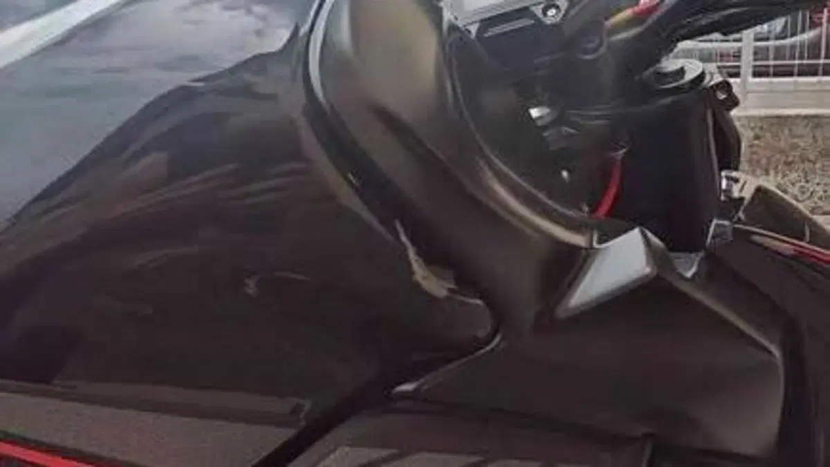 Kawasaki Z 900 Performance (2019)  (5)