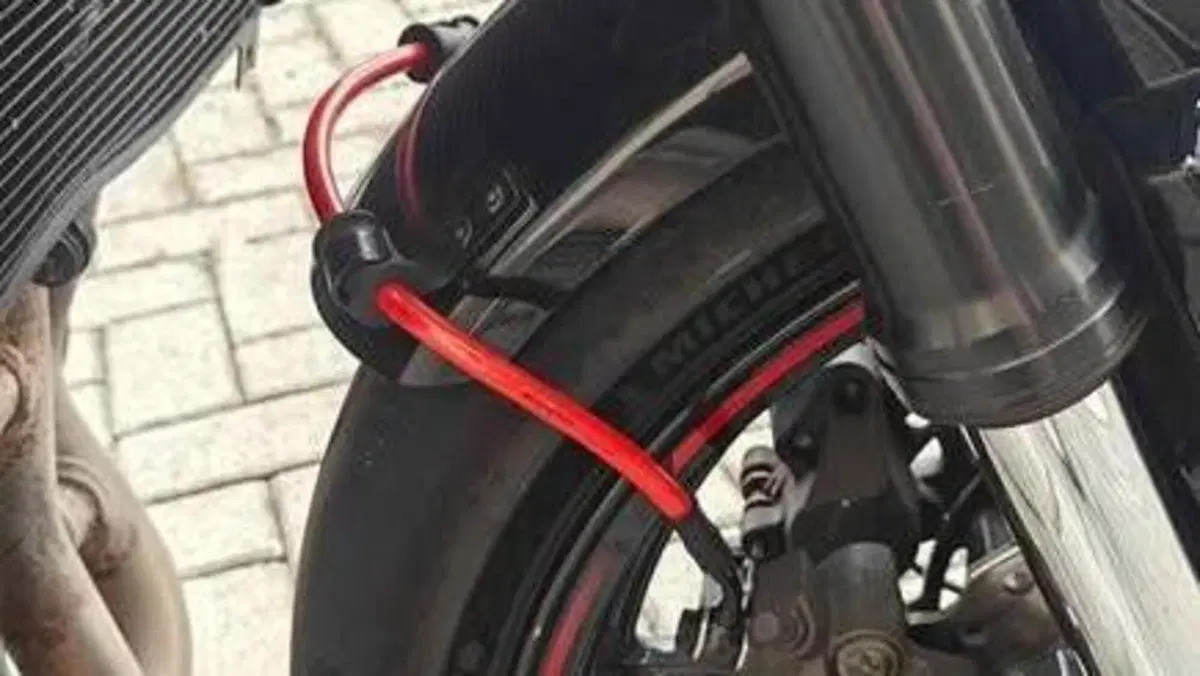 Kawasaki Z 900 Performance (2019)  (6)