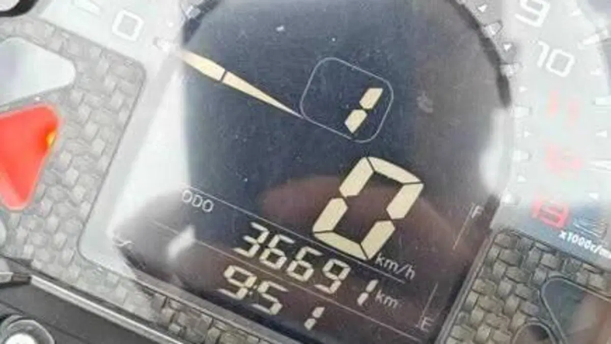 Kawasaki Z 900 Performance (2019)  (8)
