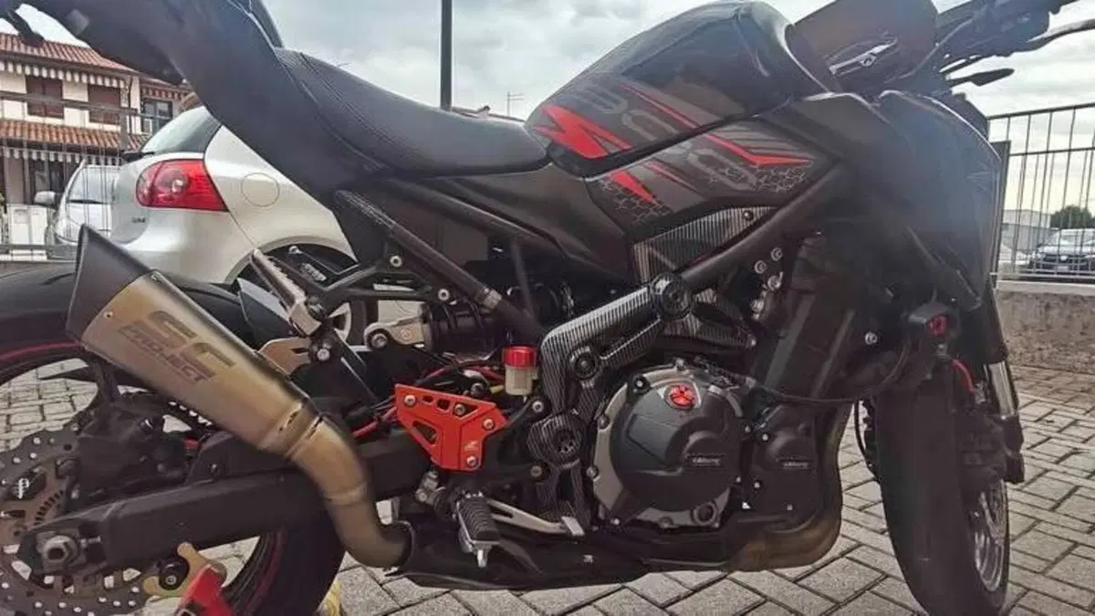 Kawasaki Z 900 Performance (2019)  (2)
