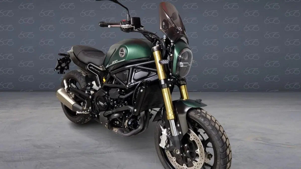 Benelli Leoncino 800 (2022 - 26)  (2)