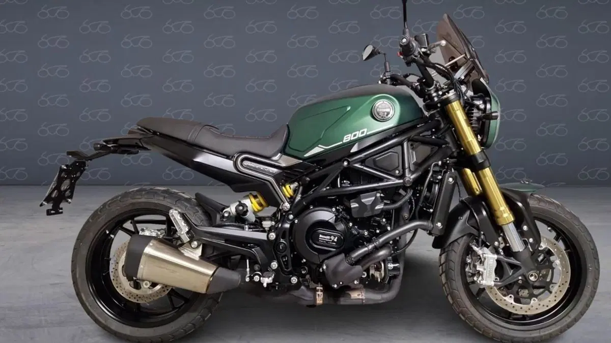 Benelli Leoncino 800 (2022 - 26) 