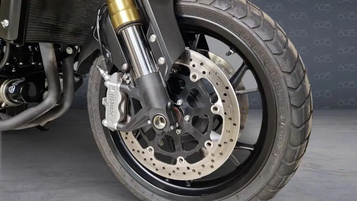 Benelli Leoncino 800 (2022 - 26)  (5)