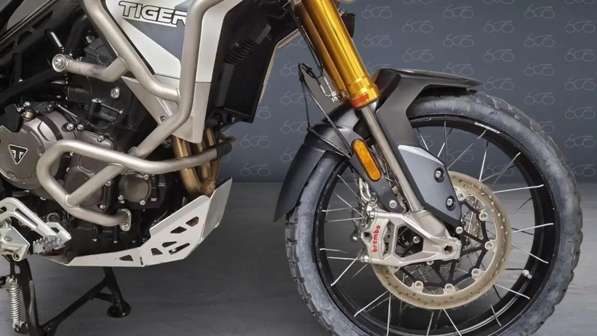 Triumph Tiger 900 Rally Pro (2020 - 23)  (5)