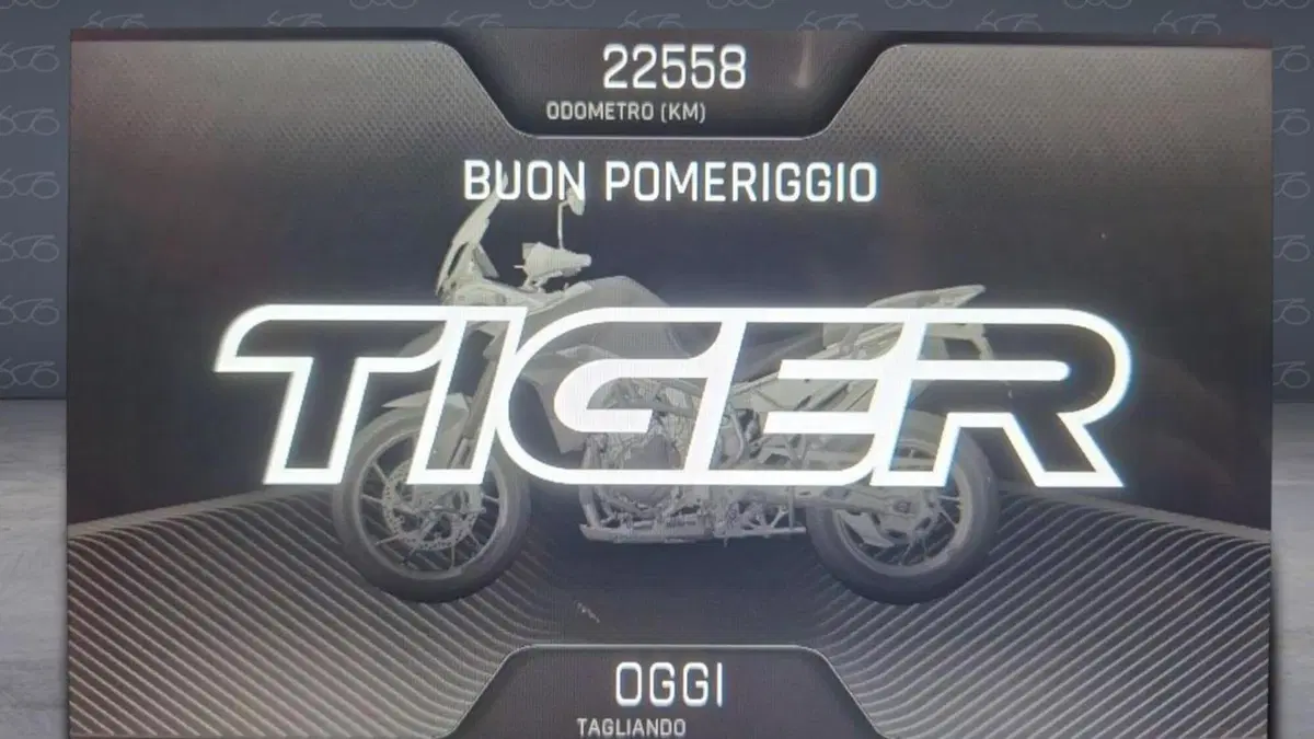Triumph Tiger 900 Rally Pro (2020 - 23)  (8)