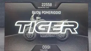 Triumph Tiger 900 Rally Pro (2020 - 23)  (8)