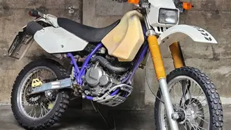 Suzuki DR 350 SE (1994 - 02) usata
