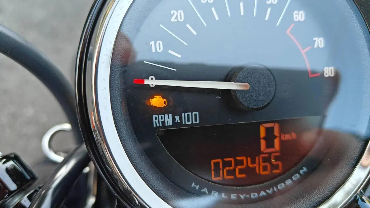 Harley-Davidson 1200 Roadster (2017 - 20) - XL 1200R  (3)