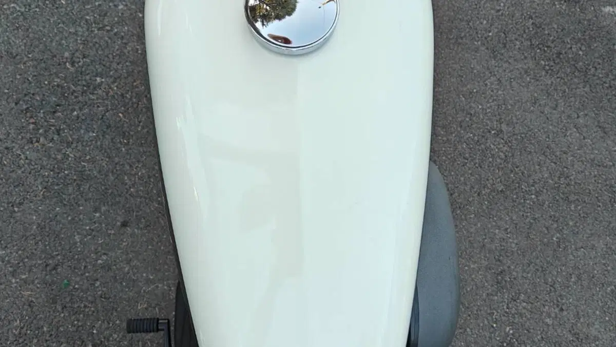 Harley-Davidson 1200 Roadster (2017 - 20) - XL 1200R  (4)
