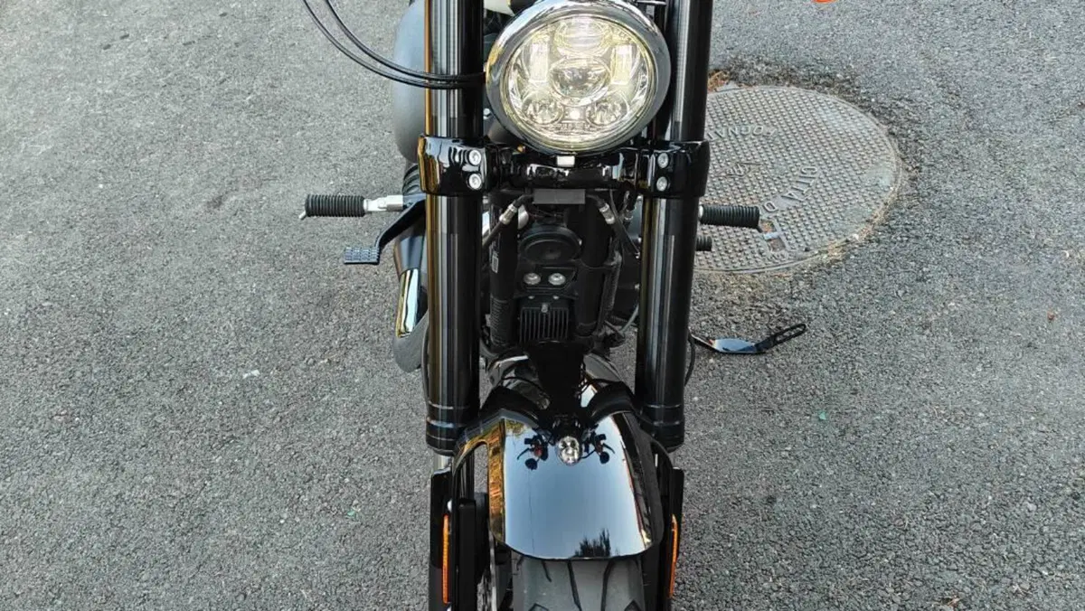 Harley-Davidson 1200 Roadster (2017 - 20) - XL 1200R  (5)