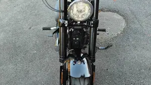 Harley-Davidson 1200 Roadster (2017 - 20) - XL 1200R  (5)