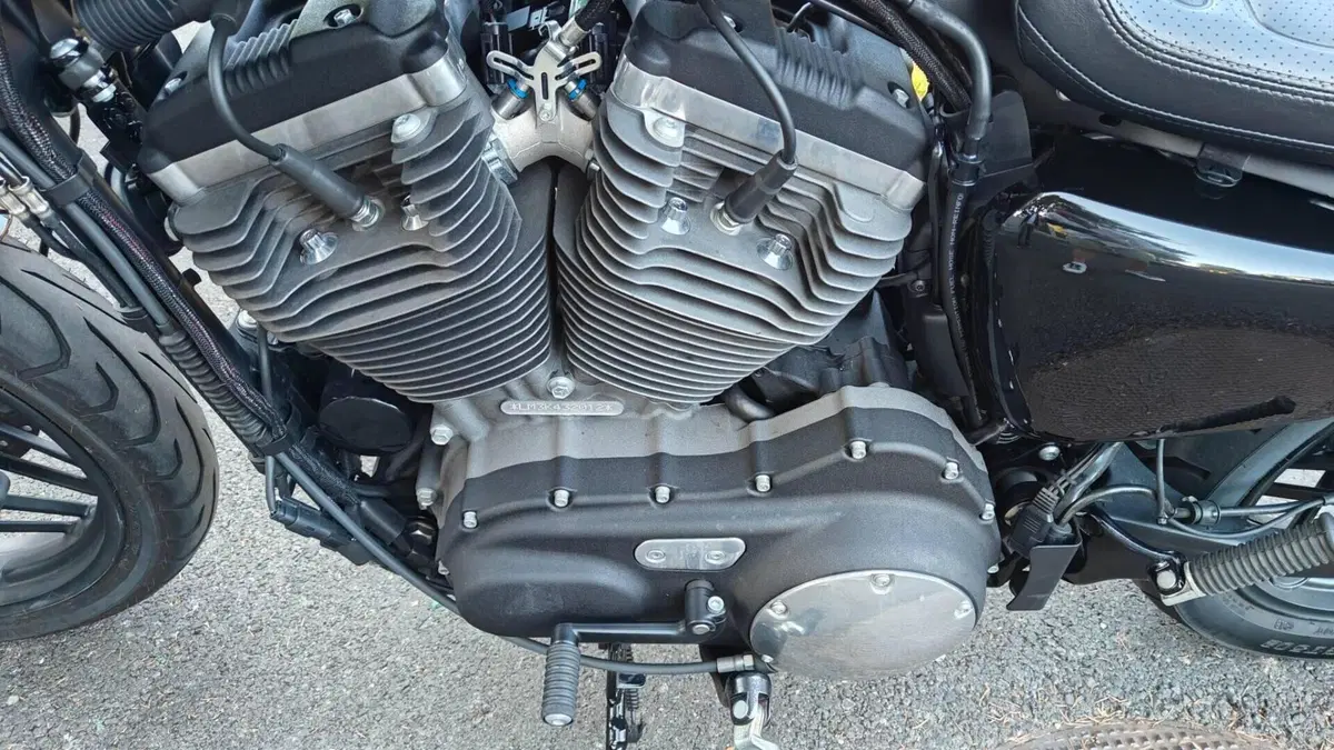 Harley-Davidson 1200 Roadster (2017 - 20) - XL 1200R  (6)