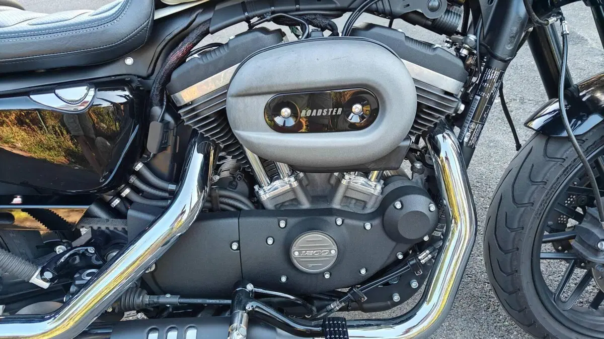 Harley-Davidson 1200 Roadster (2017 - 20) - XL 1200R  (8)