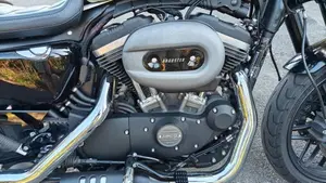 Harley-Davidson 1200 Roadster (2017 - 20) - XL 1200R  (8)