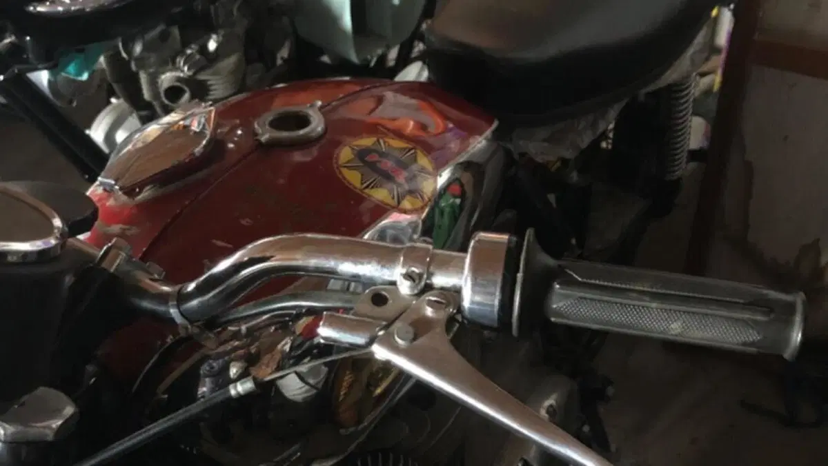Bsa   (3)
