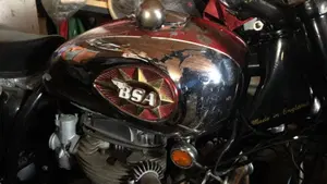 Bsa   (4)