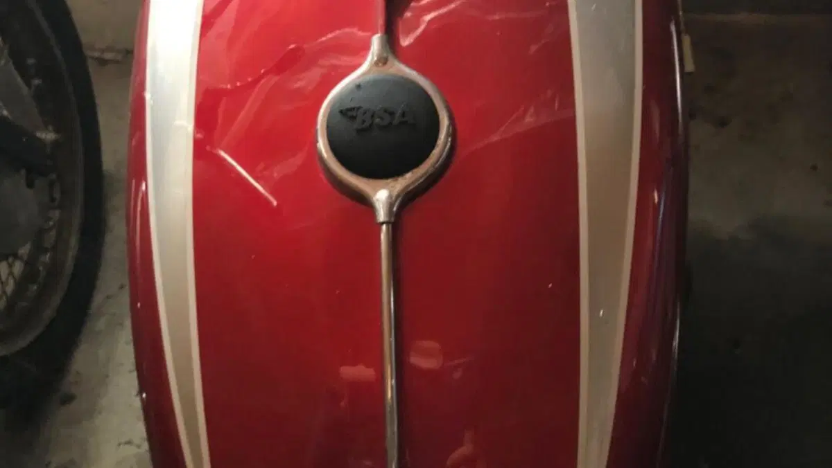 Bsa   (5)