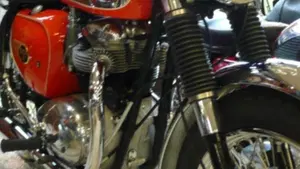 Bsa   (6)