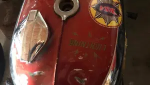 Bsa   (8)