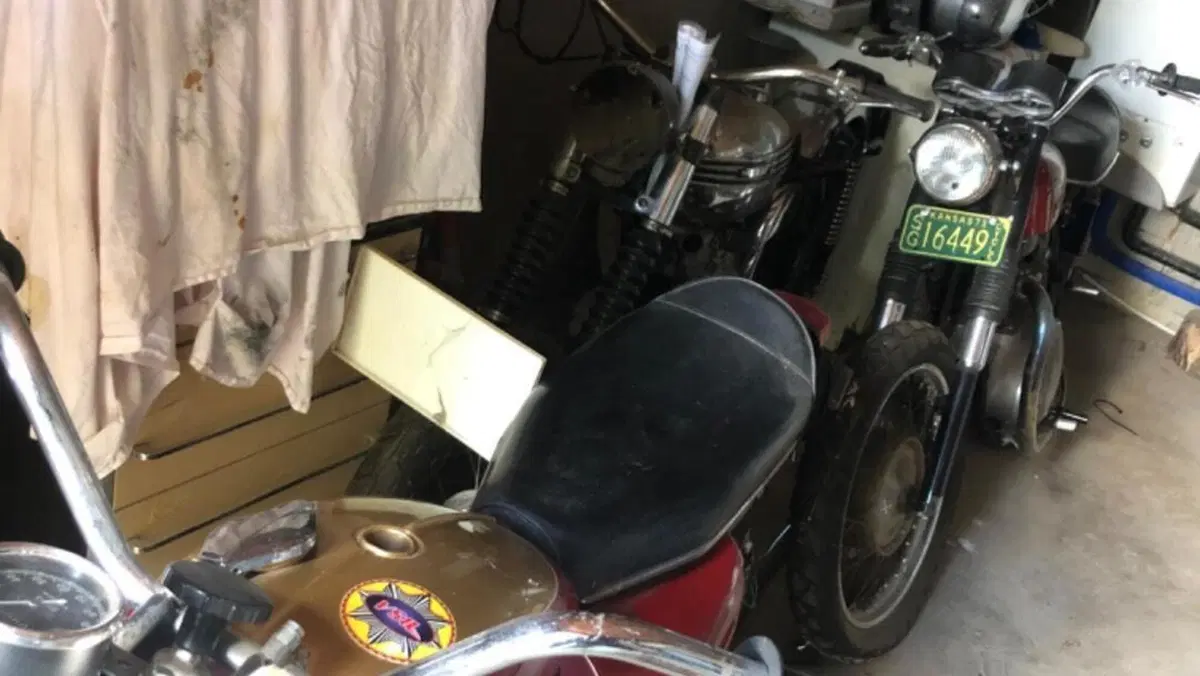 Bsa   (9)
