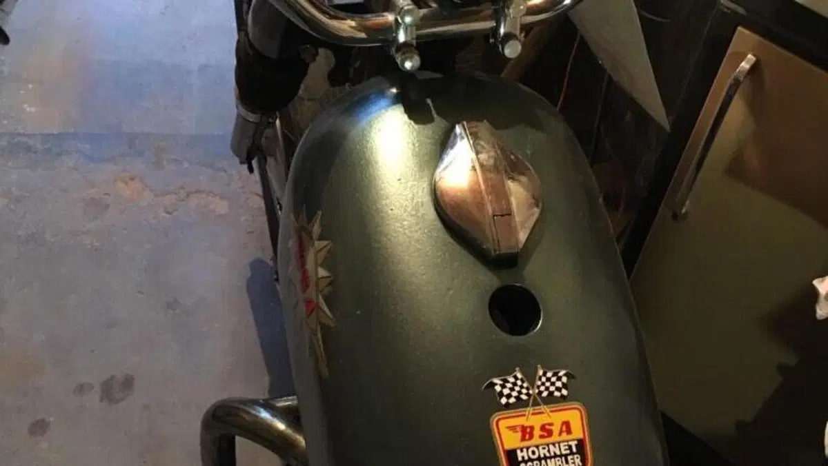 Bsa   (10)