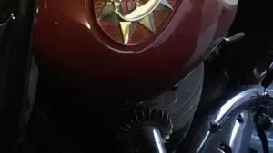 Bsa   (13)