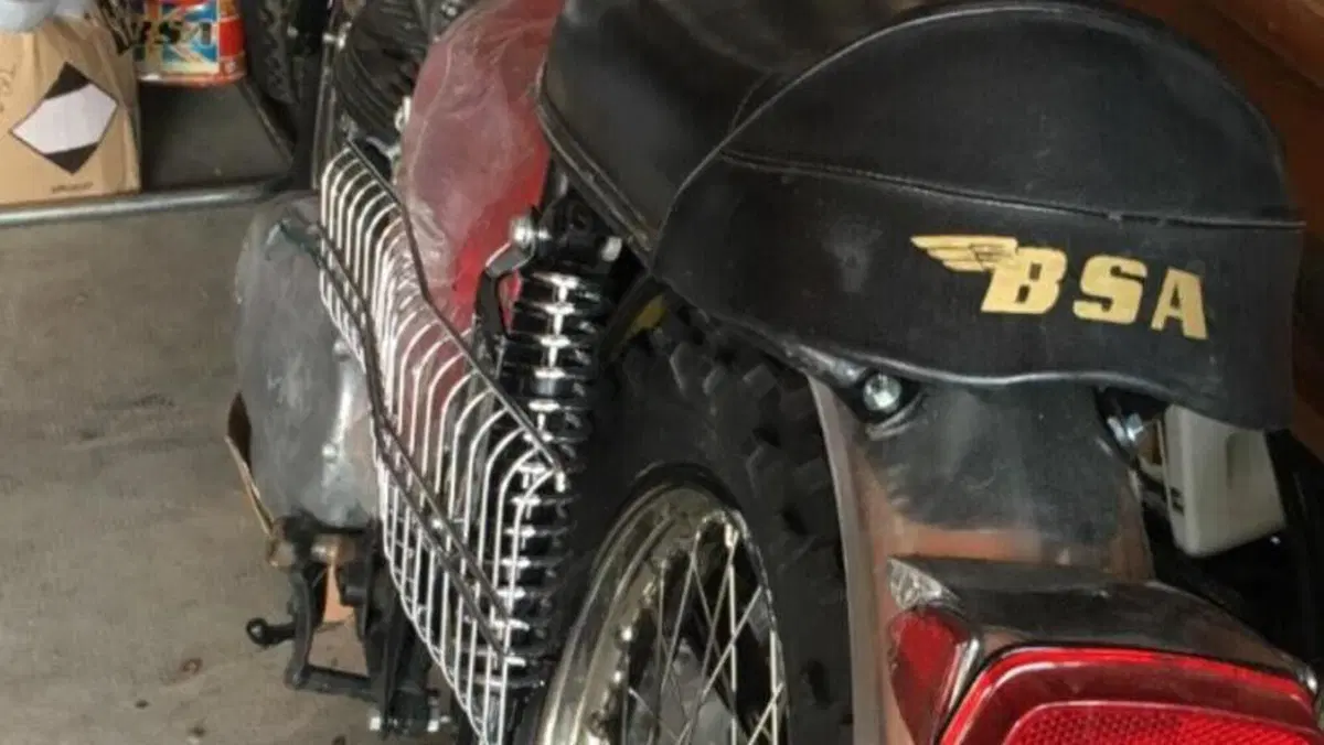 Bsa   (14)