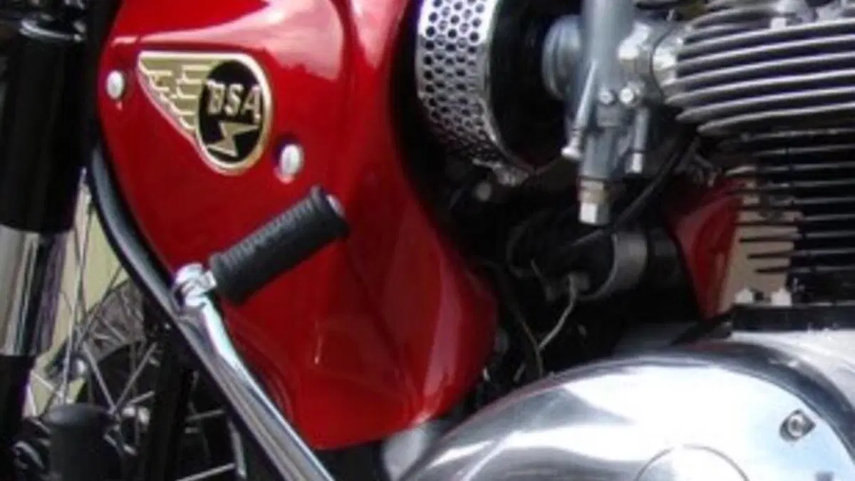 Bsa   (19)
