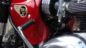 Bsa   (19)