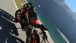 Aprilia Tuono 660 (2021 - 25)  (5)