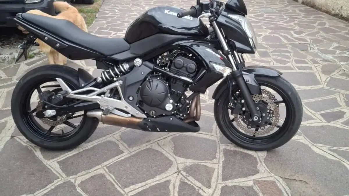 Kawasaki ER-6N (2009 - 11) 
