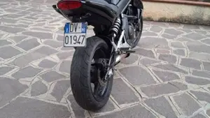 Kawasaki ER-6N (2009 - 11)  (2)