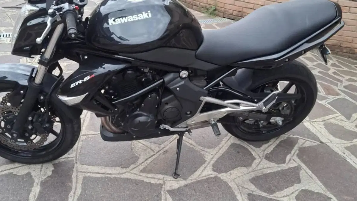 Kawasaki ER-6N (2009 - 11)  (3)