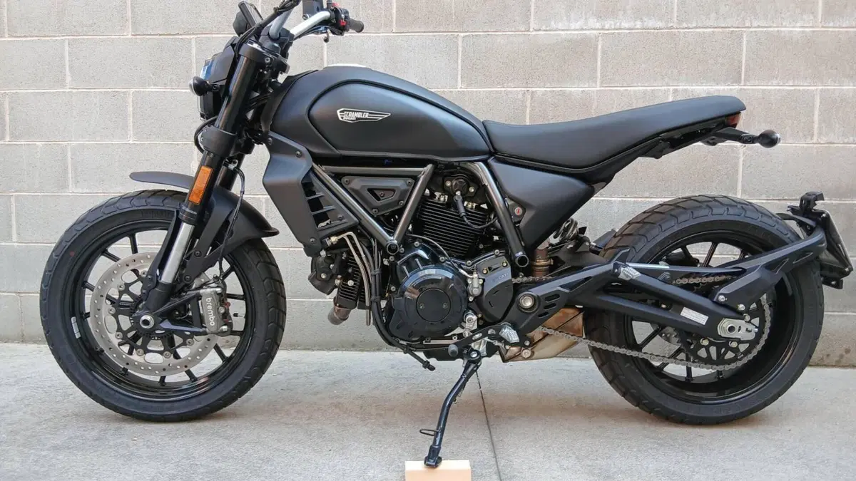 Ducati Scrambler 800 Icon Dark (2025 - 26)  (6)